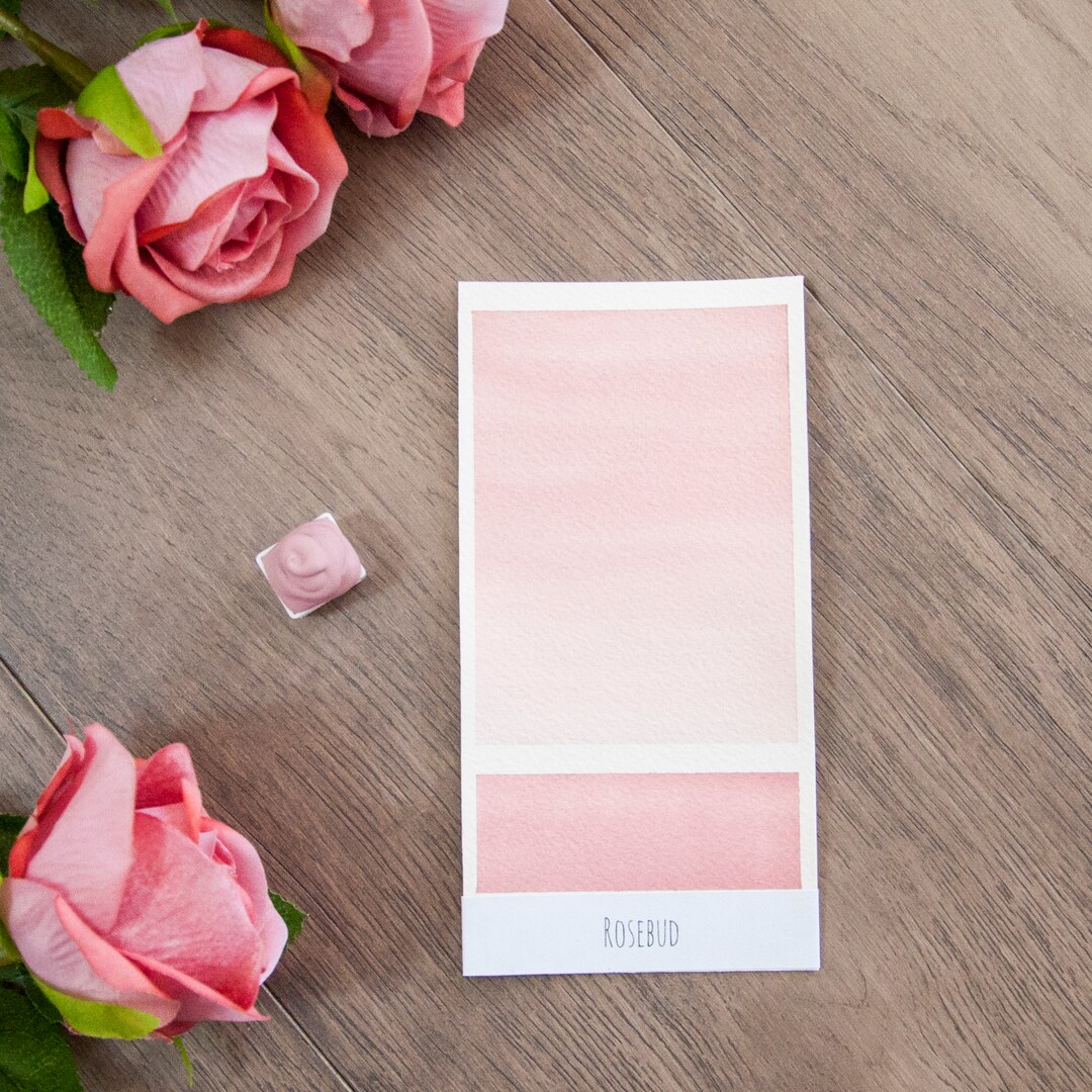 Secret Garden Matte Watercolor Paint Set Quarter Pan, Half Pan